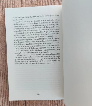 Niña de polvo