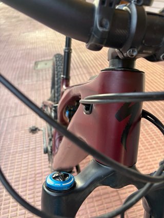 Specialized Turbo Levo Expert Carbon Gen3