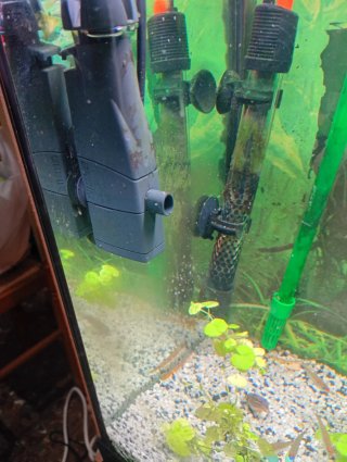 Acuario 96L con plantas y filtro