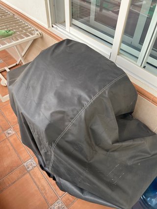 Barbacoa de gas