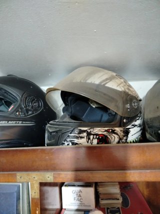 Casco de moto con diseño de lobo