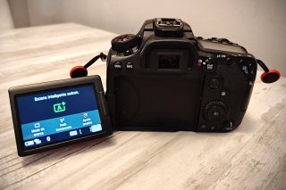 Canon EOS 90D + Lentes y Accesorios