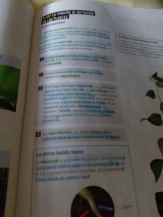 Biología Y Geología 1 Secundaria
