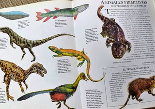 La Naturaleza y el Universo - Grandes Récords