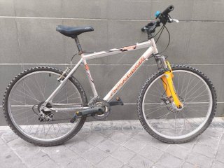 Bicicleta de Montaña