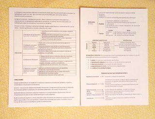 Psicología de la Emoción