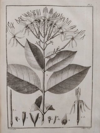 Libro antiguo