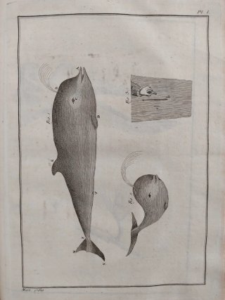 Libro antiguo
