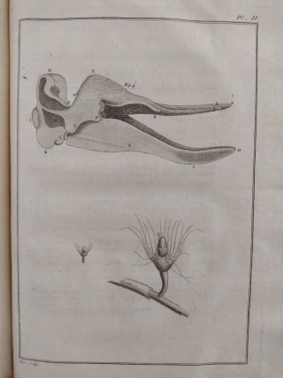 Libro antiguo