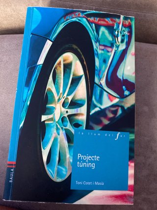 Projecte túning