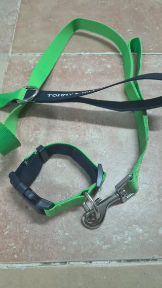 Correa y collar perro Tommy Hilfiger
