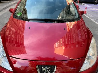 Peugeot 307 2007