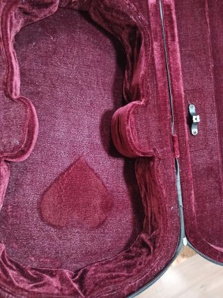 Funda para viola de 15''