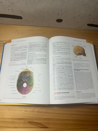 Anatomía humana 2ªEdición (última)