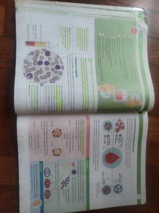 BIOLOGIA ETA GEOLOGIA 3 DBH MUNDUAK ERAIKITZEN