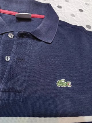 Polo Lacoste Hombre Azul y Blanco