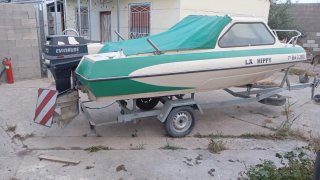 Barco Evinrude con remolque