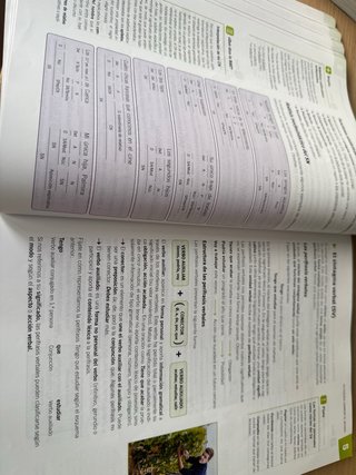 LENGUA Y LITERATURA 1