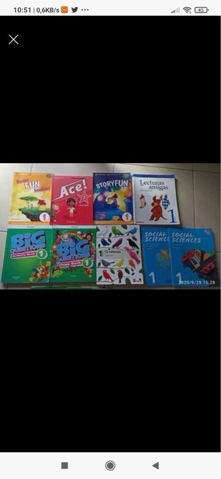 Libros escolares de Primaria varios cursos