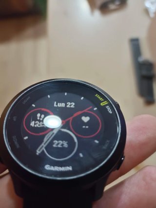 Garmin Forerunner 55 GPS Running Watch