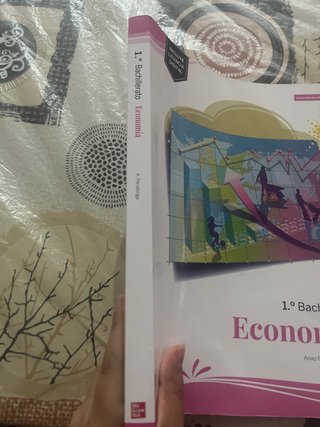 Economía 1.o Bachillerato