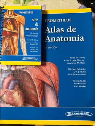 Pack Prometheus: Atlas de Anatomía (2ª Ed.) + Fich