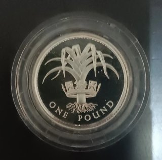 2 Monedas Plata 1 Libra Reino Unido
