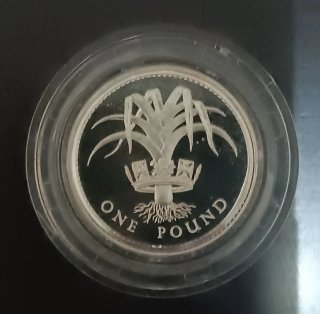 2 Monedas Plata 1 Libra Reino Unido