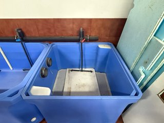 Cetárea / Vivero para mariscos