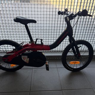 Bici Orbea Grow 1