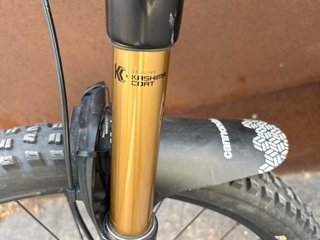 Cannondale Moterra Neo 1 carbono