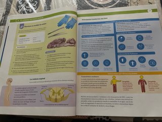 LIBRO 3 ESO BIOLOGIA