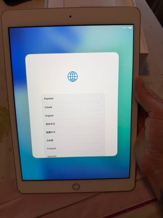 iPad