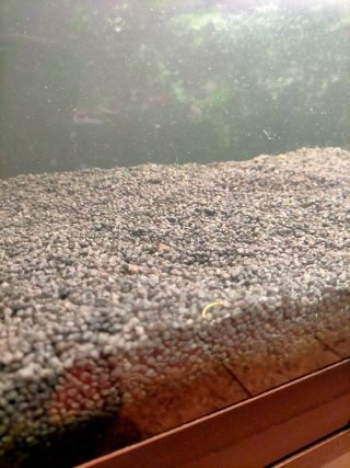 Sustrato / Grava para Acuario 30 Kg