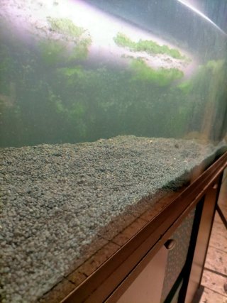 Sustrato / Grava para Acuario 30 Kg