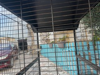 Jaula para loros gris