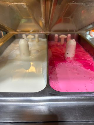 ¡Oportunidad única para heladerías, yogurterías