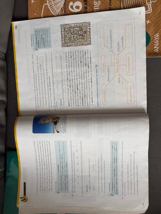 Lengua 6 Primaria : Operación Mundo