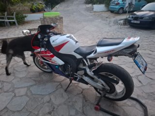 Honda CBR 1000 RR Fireblade 2004.