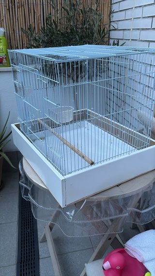Jaula para pájaros