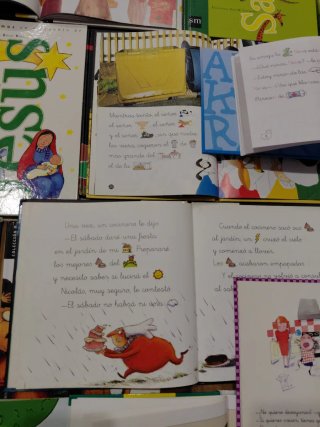 Lote libros infantiles pictogramas