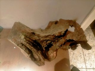 Tronco Grande para Acuario