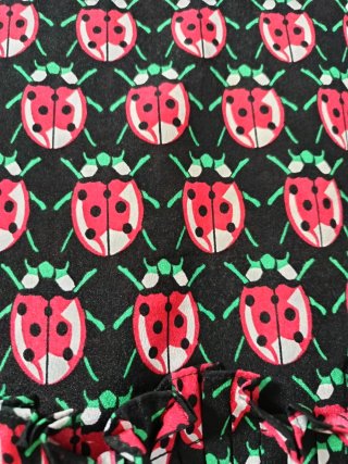 Blusa con estampado de mariquitas