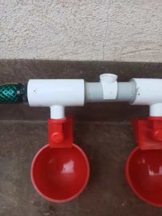 Bebedero Automático para Gallinas