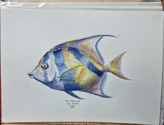 Acuarela original Pez