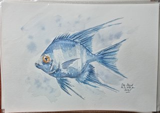 Acuarela original Pez