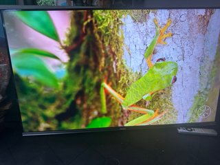 TV Haier QLED 43 4K UHD H43Q800UX
