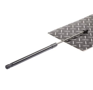 Amortiguadores Maletero RIDEX 219G0254