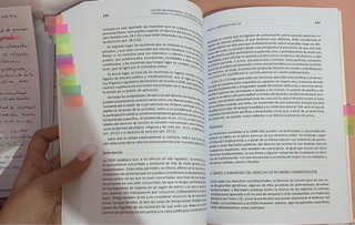 Los Derechos Constitucionales: Lecciones básica...