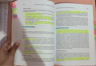 Los Derechos Constitucionales: Lecciones básica...